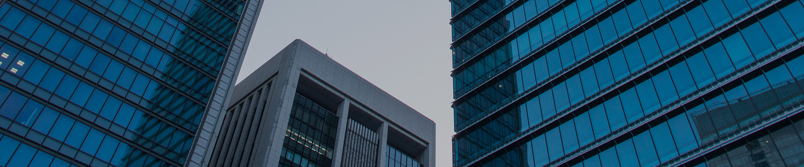 Κίνα Shenzhen Xiaohongbao Technology Co., Ltd. Προφίλ εταιρείας 